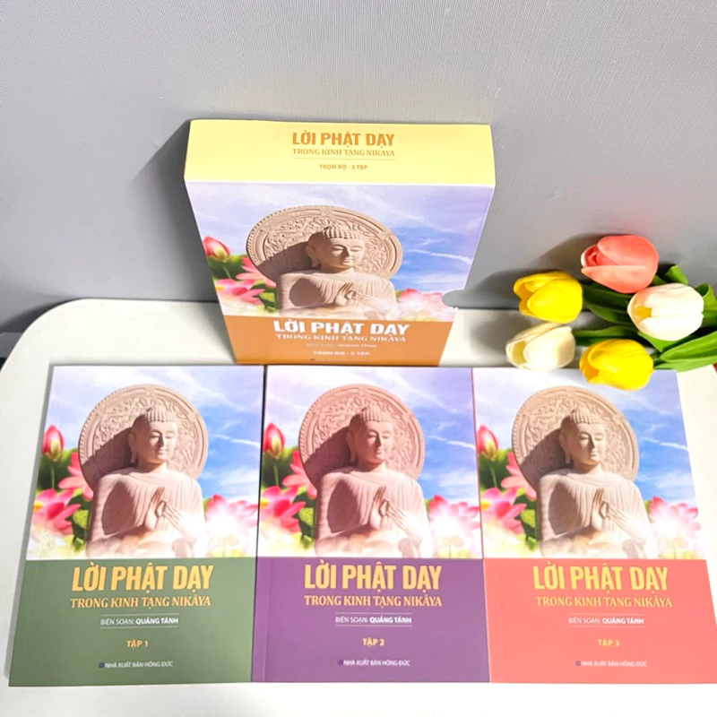 Combo 3 tập: Lời Phật Dạy Trong Kinh Tạng NIKAYA