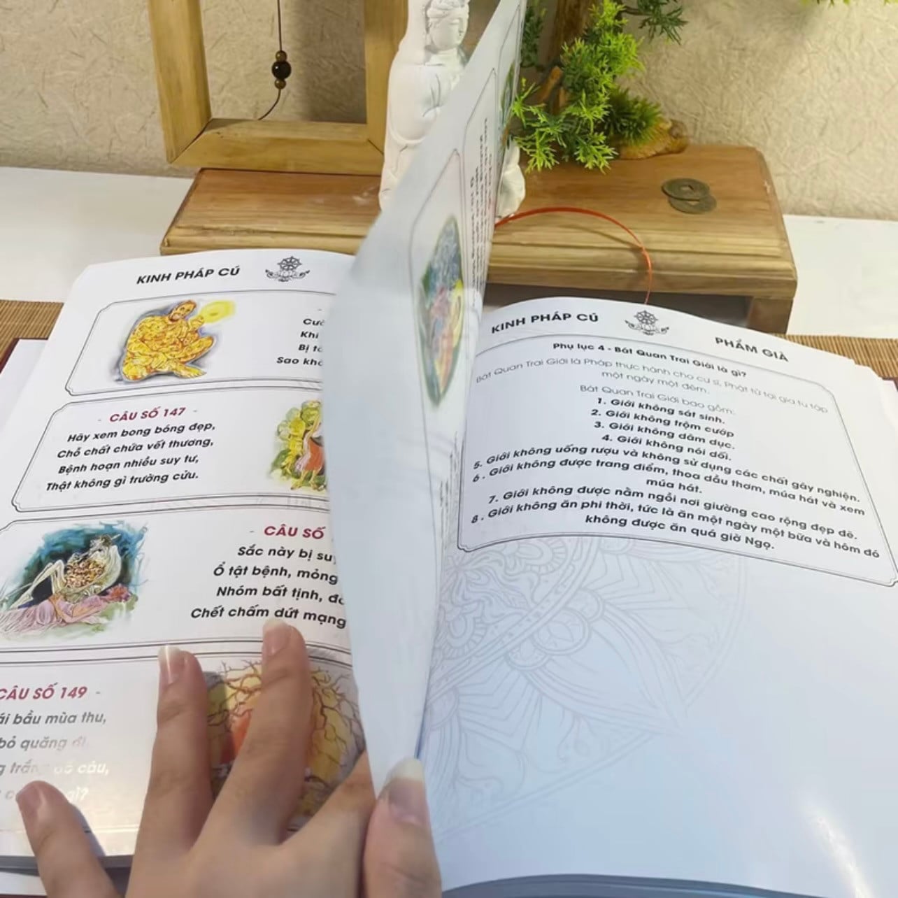 Sách Kinh Pháp Cú In Màu - 423 Lời Vàng Phật Dạy (Ấn Bản Bìa Cứng)