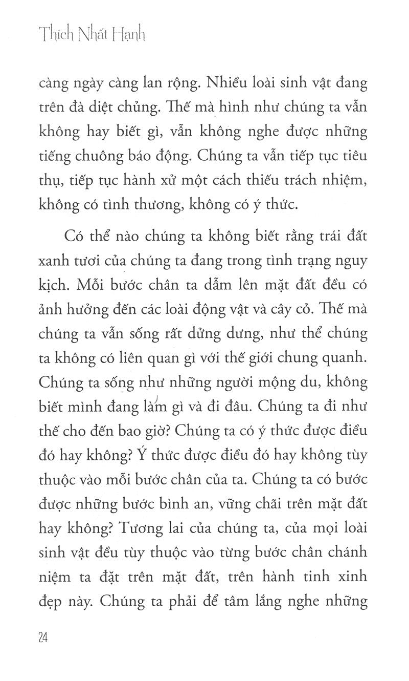 [Freeship+Sale] Combo 10 cuốn Sách Thiền sư Thích Nhất Hạnh