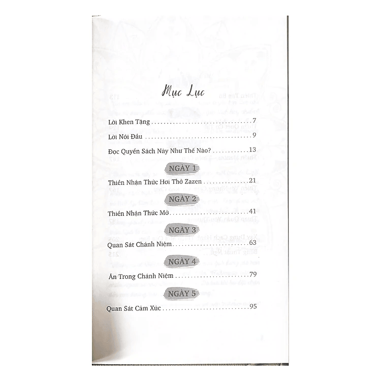 10 Ngày Hành Thiền
