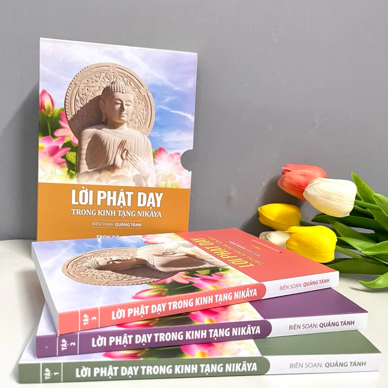 Sách - Lời Phật Dạy Trong Kinh Tạng NIKAYA (Trọn Bộ 3 Tập)