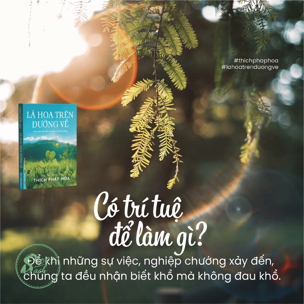 Bộ 3 Cuốn Sách Thầy Thích Pháp Hòa - Lá Hoa Trên Đường Về + Con Đường Chuyển Hóa + Chia Sẻ Từ Trái Tim (tặng túi vải canvas + lá bồ đề)