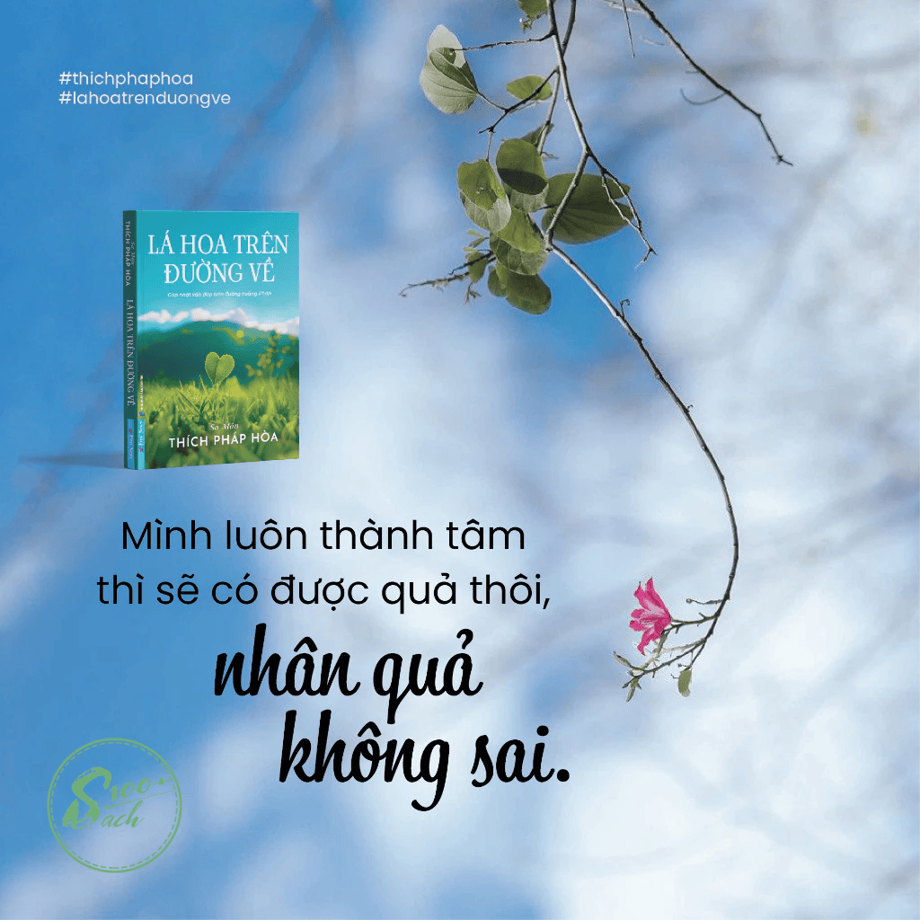 Bộ 3 Cuốn Sách Thầy Thích Pháp Hòa - Lá Hoa Trên Đường Về + Con Đường Chuyển Hóa + Chia Sẻ Từ Trái Tim (tặng túi vải canvas + lá bồ đề)