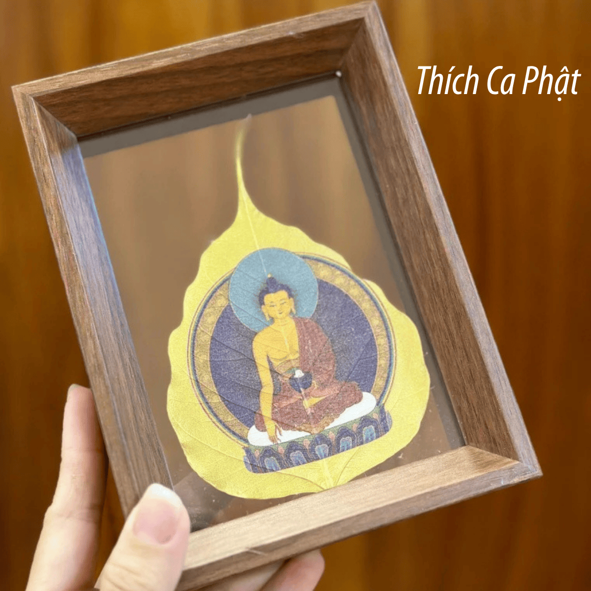 ThÃ­ch Ca Pháº­t