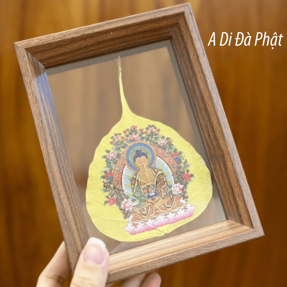 A Di ÄÃ Pháº­t