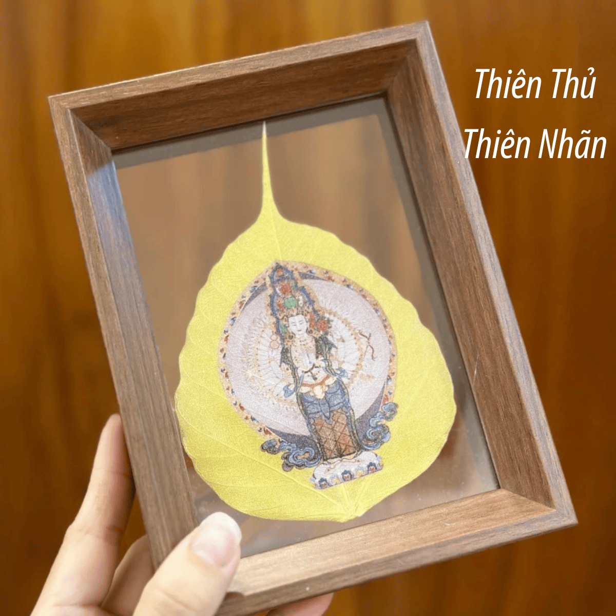 ThiÃªn Thá»§ ThiÃªn NhÃ£n