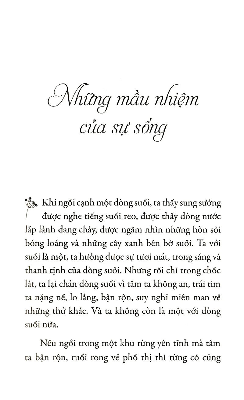 Hạnh Phúc Cầm Tay (Tái Bản) - Thiền sư Thích Nhất Hạnh