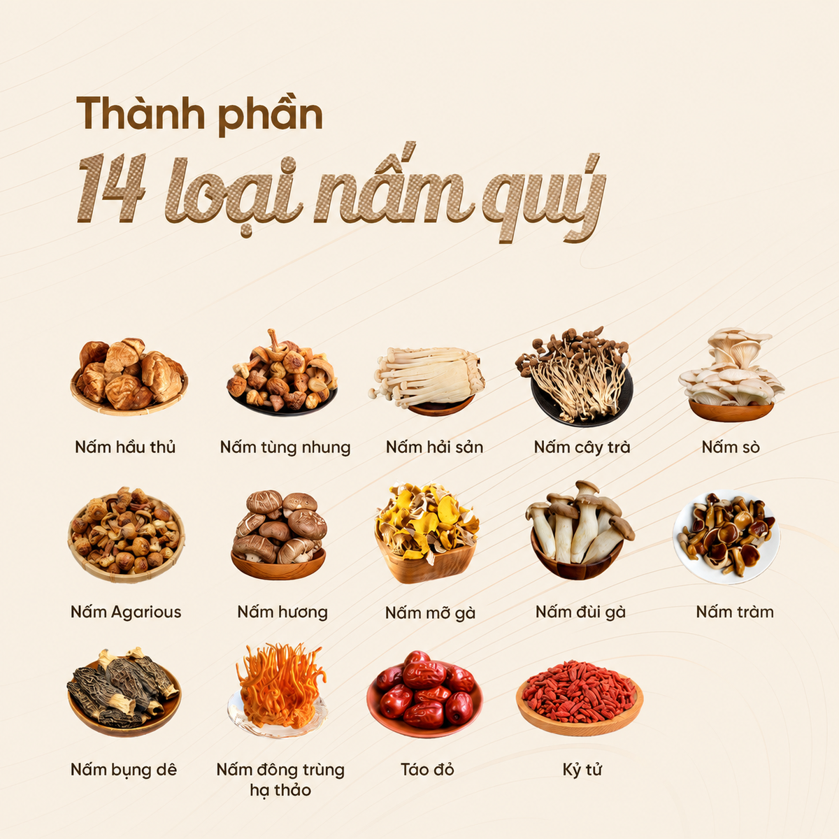 Set nấm hầm canh bổ dưỡng 14 vị thơm ngon thanh đạm 100g C12