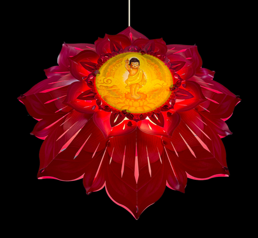 Lồng Đèn Hoa Sen Hào Quang