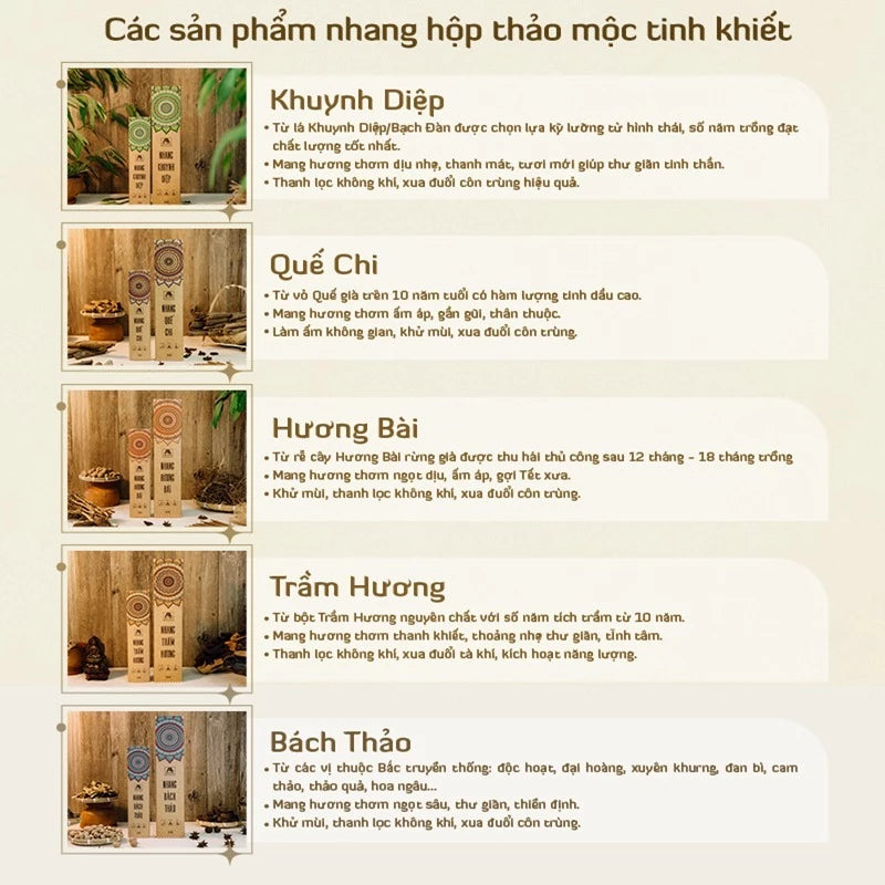 Combo 5 hộp nhang sạch tinh khiết An An - Hộp 100 nén (30cm)