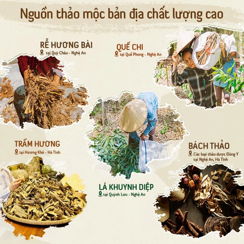 Combo 5 hộp nhang sạch tinh khiết An An - Hộp 100 nén (30cm)