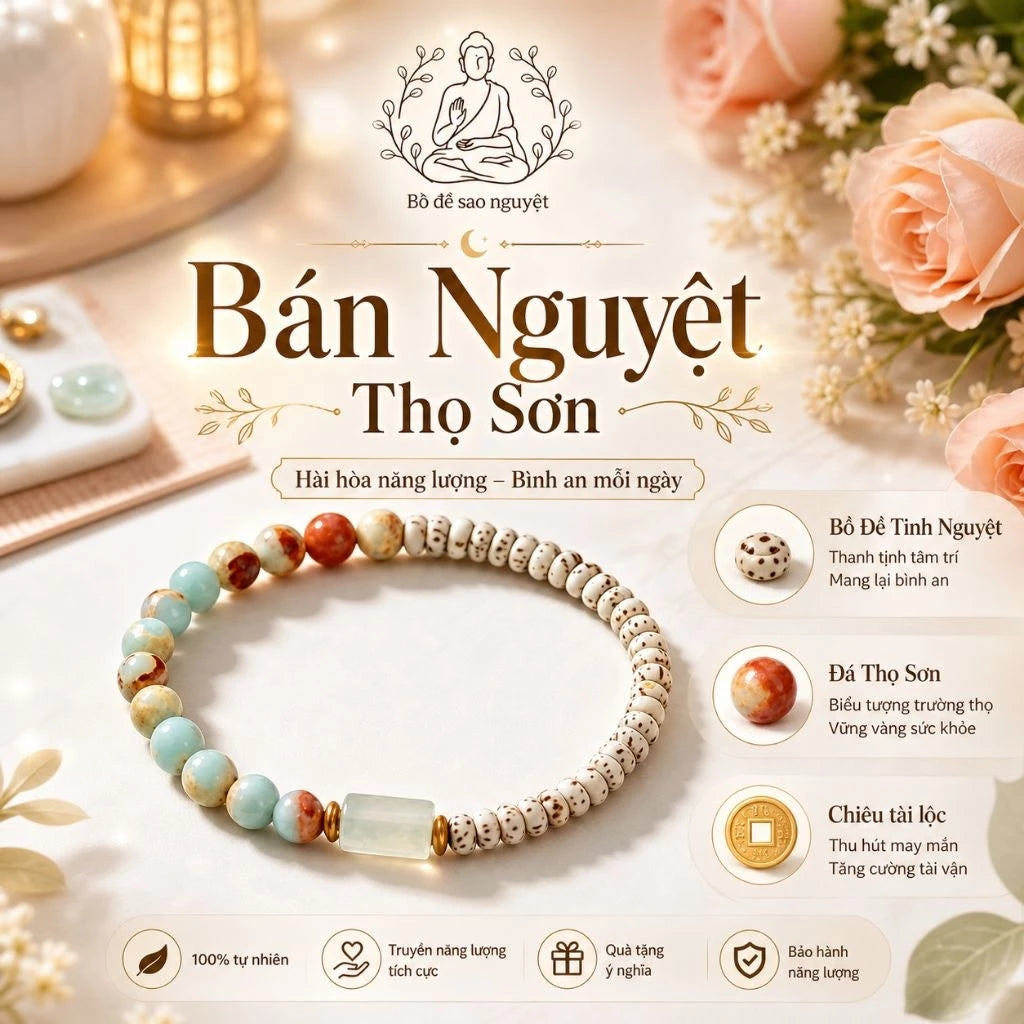 B05 - Vòng tay hạt bồ đề tinh nguyệt tự nhiên phối đá Thọ Sơn - Tặng túi gấm