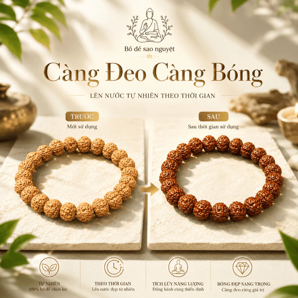B64 – Vòng Tay Bồ Đề Kim Cang 12mm - Tặng Túi Gấm